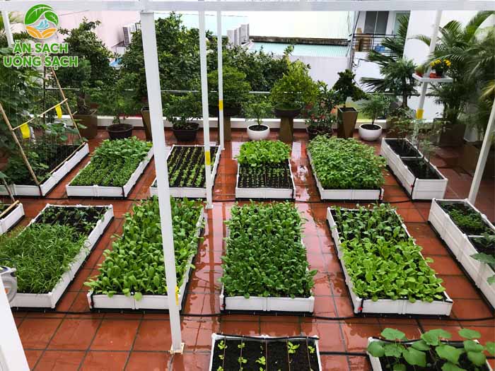 Tổng hợp hơn 48 ảnh về mẫu vườn rau đẹp tại nhà  daotaonec